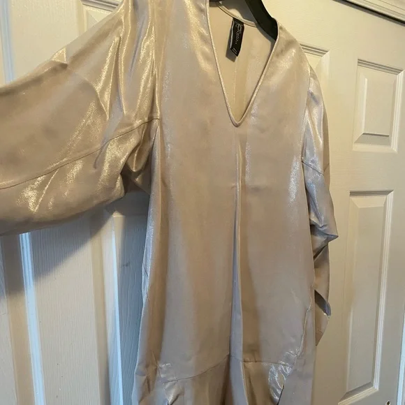 Silver dress - Picture 2 of 7